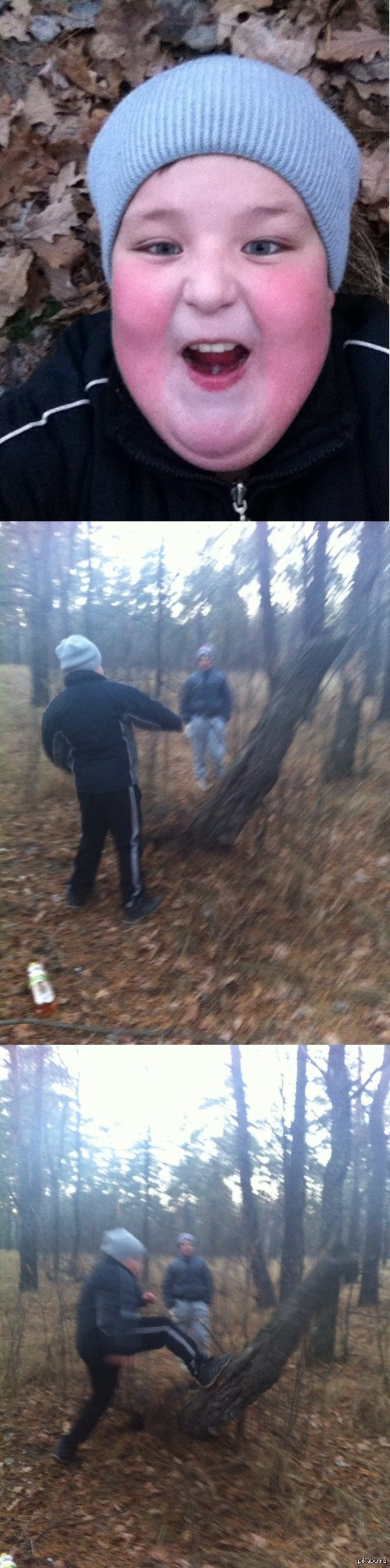 Сегодня в лесу