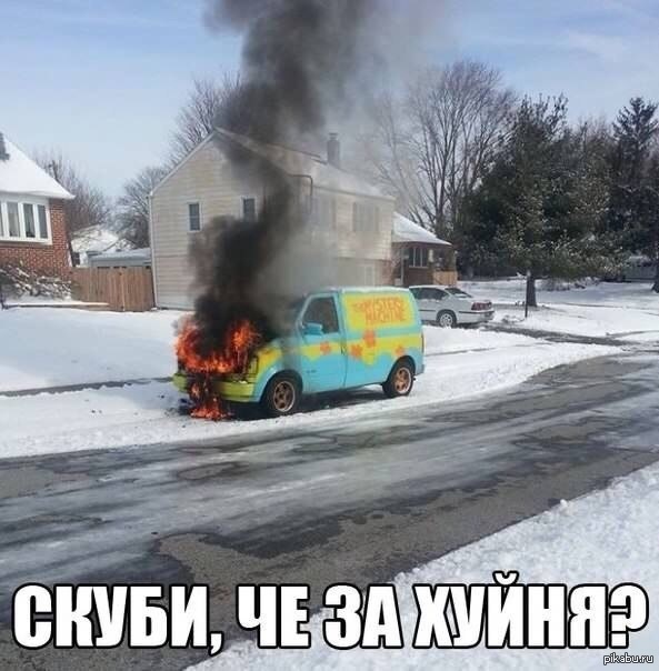 Не оставили собачьего печенья
