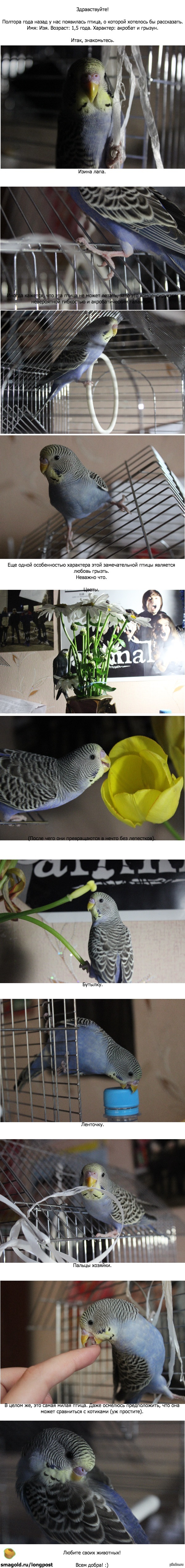 Маленькое чудо.