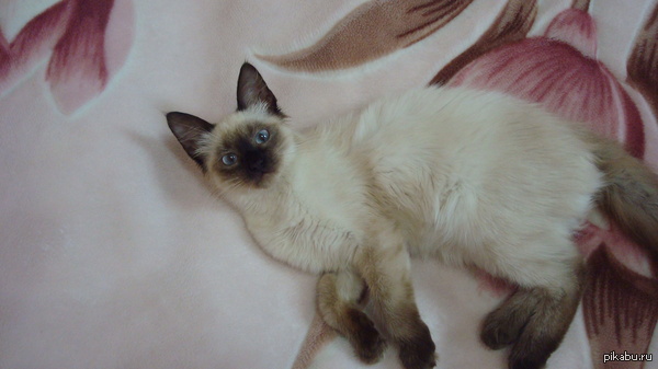 �� ��� ��� ��� ������� �������� ������ ���������, �� ��� ���: ����� "������� � �����������" �������