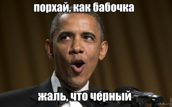 .               ,     Sting ()