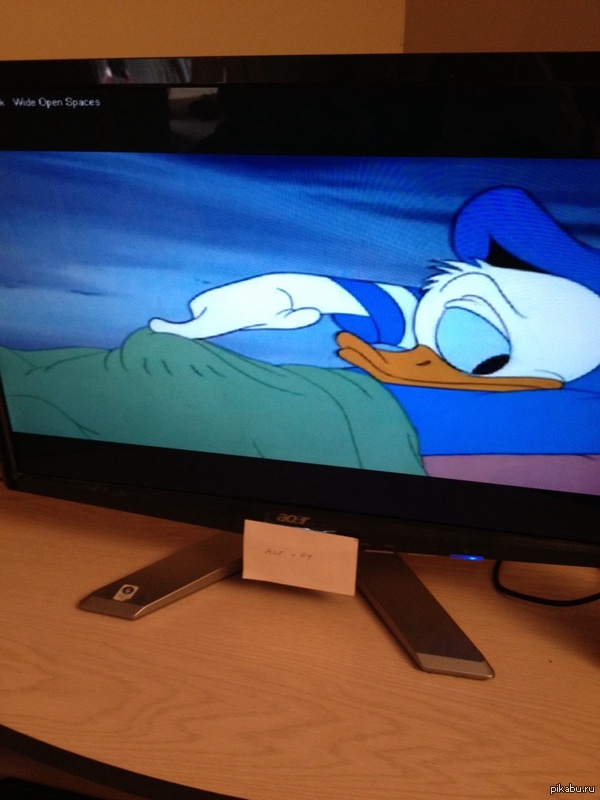 Mornings are the same... - NSFW, Morning, Donald Duck, Time to get up, Rise, Riser