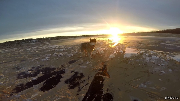 ����� �� �����