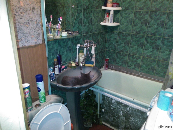 ����� ������ ������ ��� �����, ������ �� ���������� ����� � ������