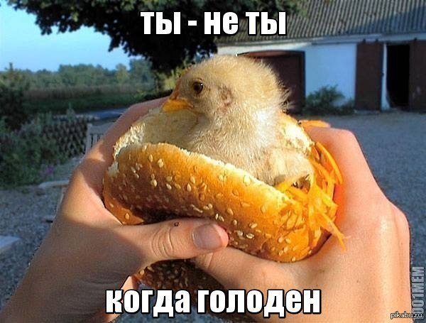 Бургер с цыпленком | Пикабу