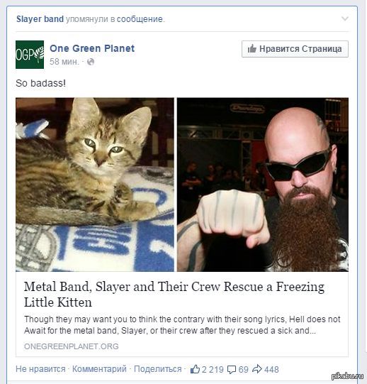 Милота. Котик и Slayer.