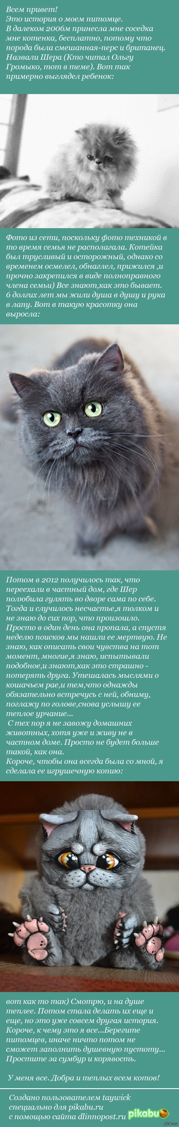 ��� ��������� �������