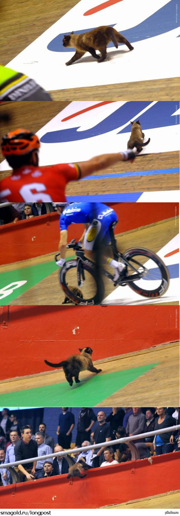 ����� �� ���������