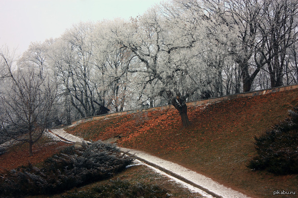 ������ ������� ����