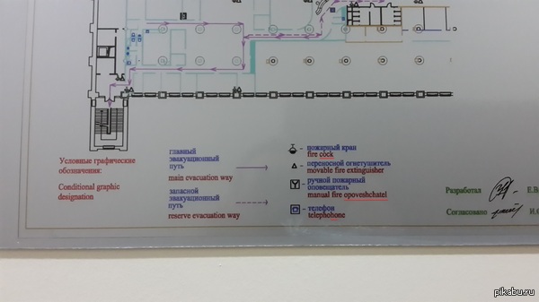 Трудности перевода