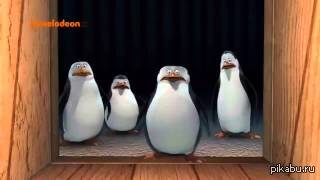 ���� ������ �������� �����������!!!!