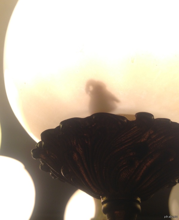 Кажется я теперь не усну...