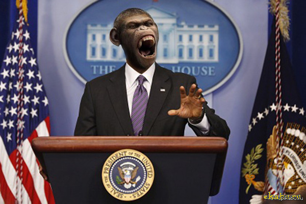   .  . http://./kak-amerikantsy-chut-ne-unichtozhili-shtat-karolinu