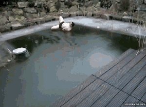    ! 