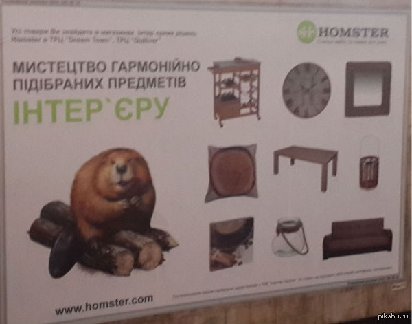 ��������� ������������ ������� ���������