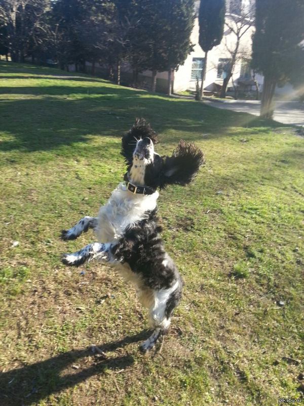 �����������, ��� ��� �����)))