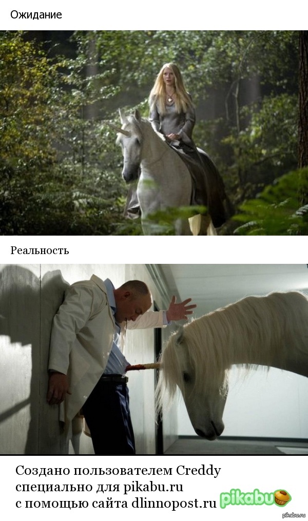 Вестреча с единорогом