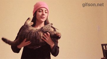 Котойога | Пикабу