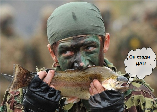 Против голода. Военная рыба. Рыба в армии. Что едят рыбы. Солдатская рыба.