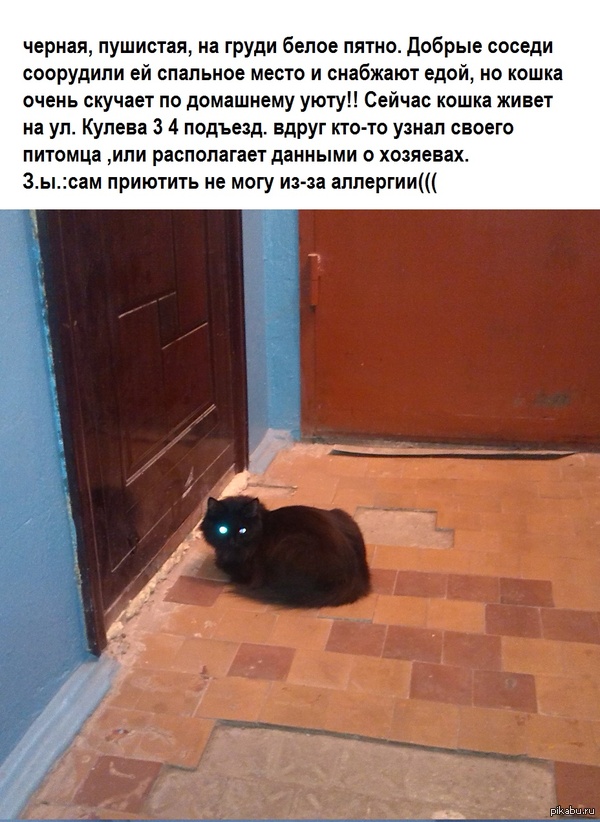  !! .       .   )   .