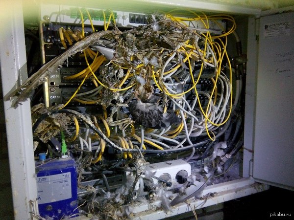 Почему пропал интернет ?