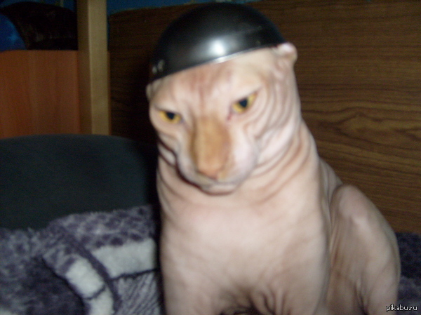 ������ � �����