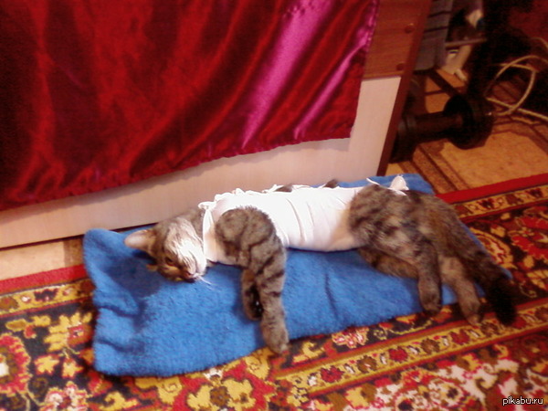 ������������