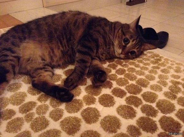 �������������