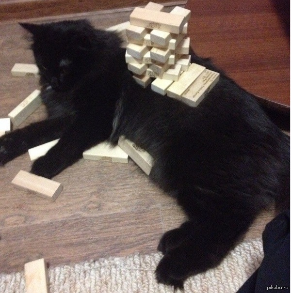 ����Jenga
