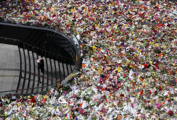 ����� � ������ � ���� �������� � ���������� ������� ���������� � ���� Lindt. ���������.