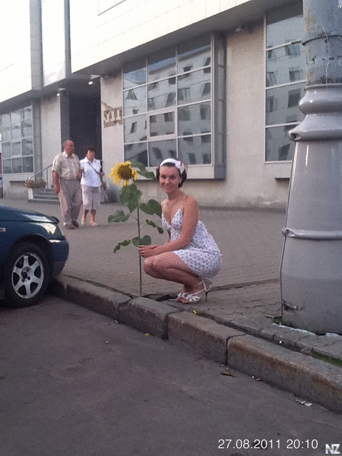 Подсолнух