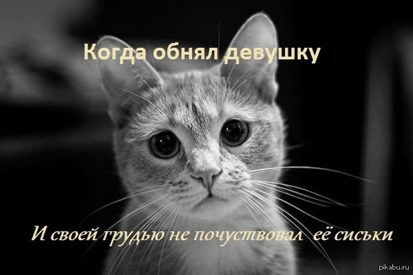 .    <a href="http://pikabu.ru/story/idi_obnimu_2921367">http://pikabu.ru/story/_2921367</a>