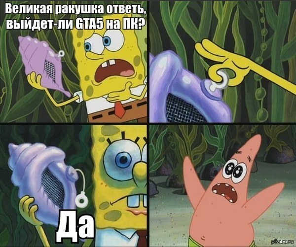 Ракушка не соврала!