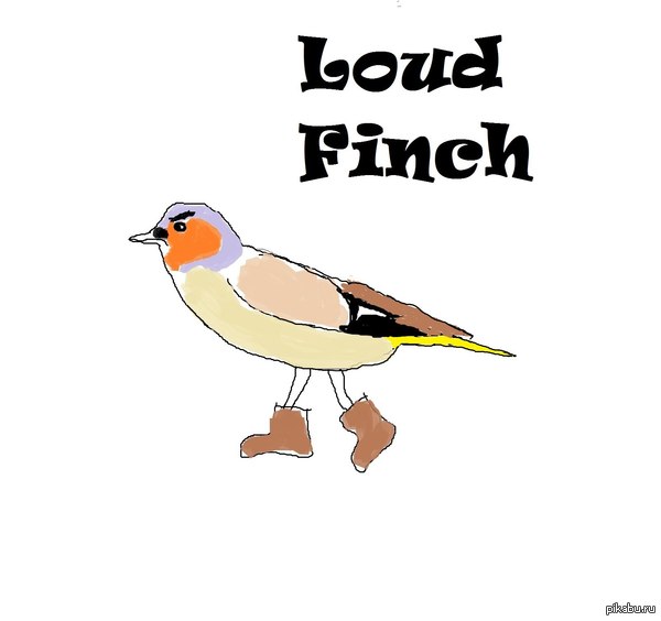 ,   !       .      .    .    !     !  http://vk.com/loudfinch
