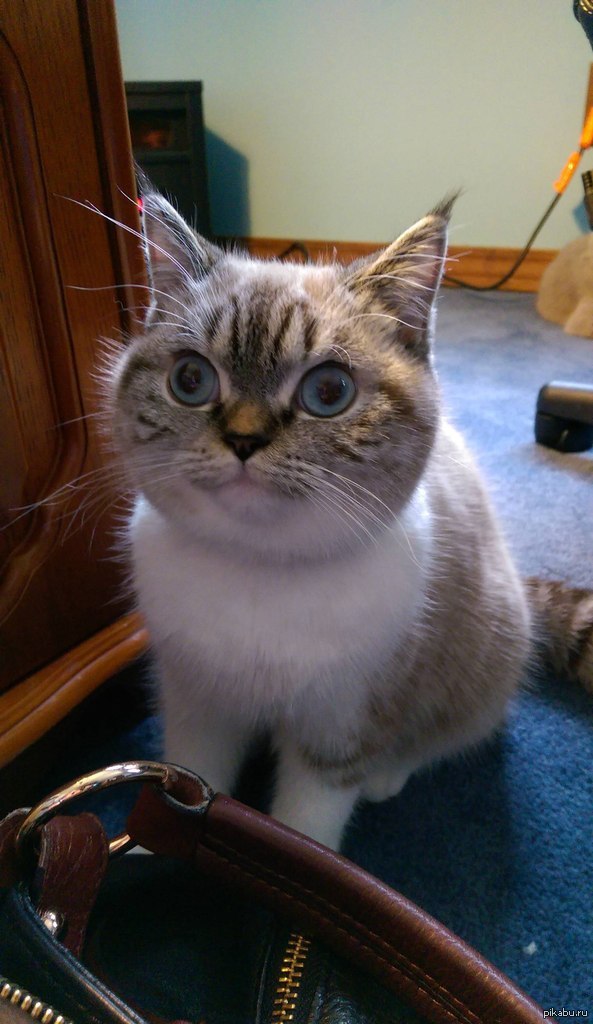 ��� ���� � ����� ������?