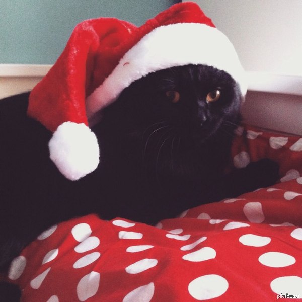 ��� ��� ���