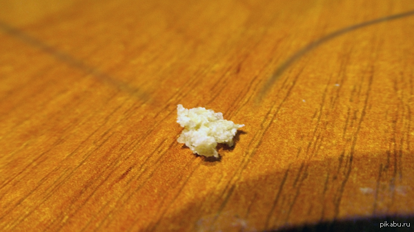 Крошка хлеба