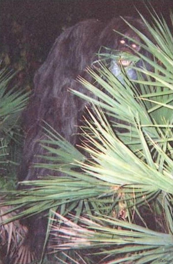 ����� � ����.