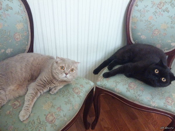 ���� � ���