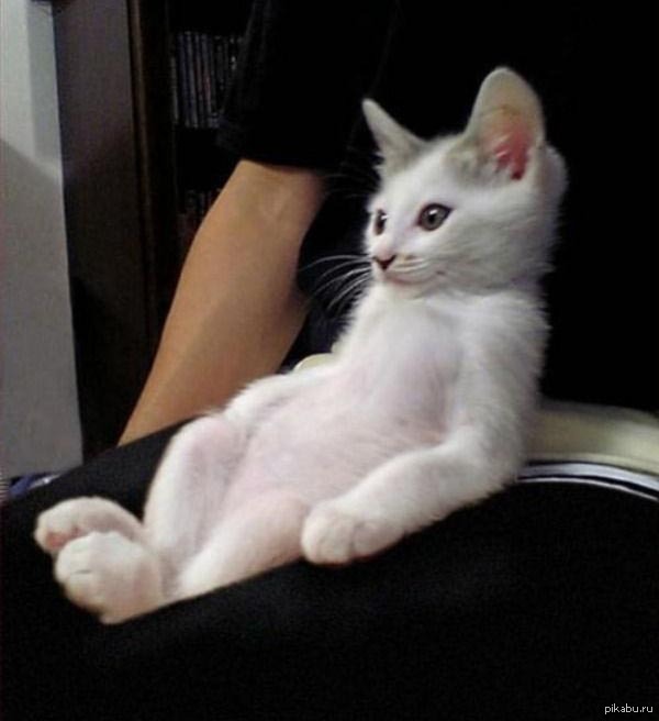 Вечерние посиделки