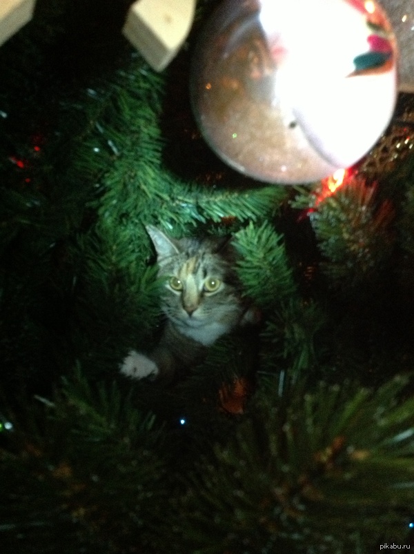 ����� �������� ����!