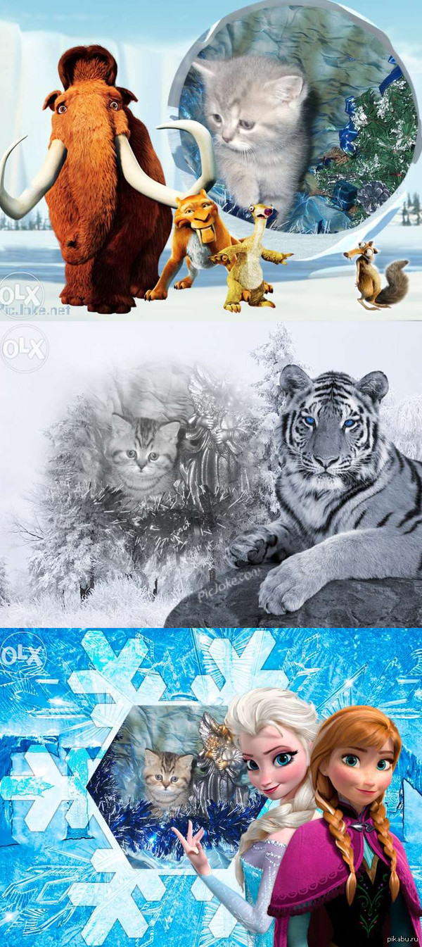 Из объявления о продаже котенка -_\\