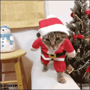 -   =) 