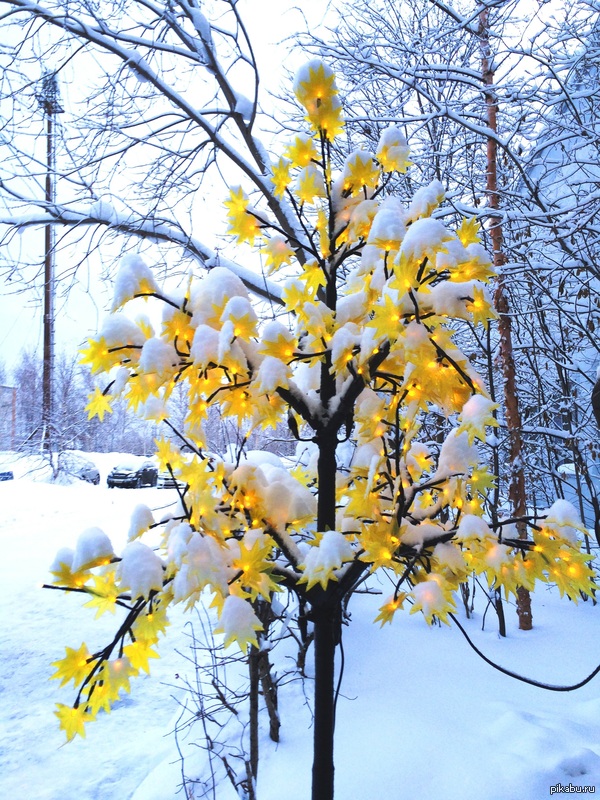 ���� ����������� �����!