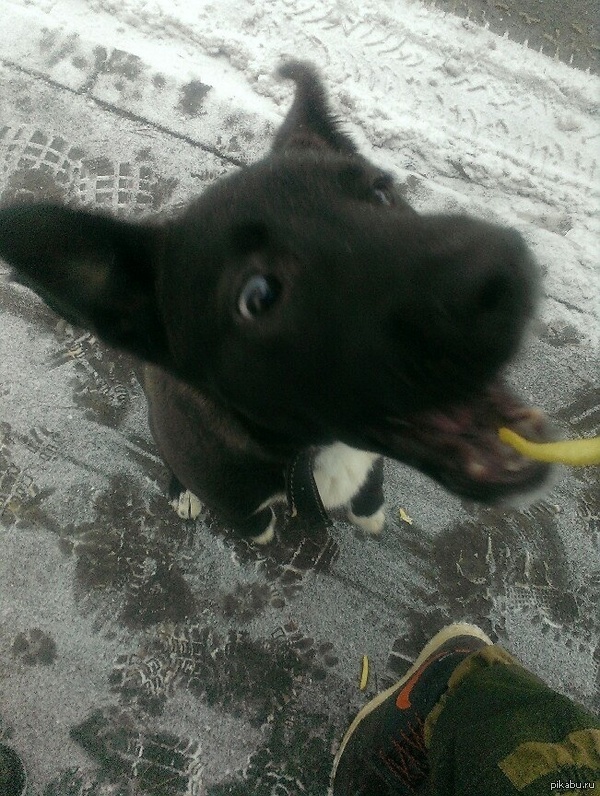 ������ ��� ��� ����� ����������