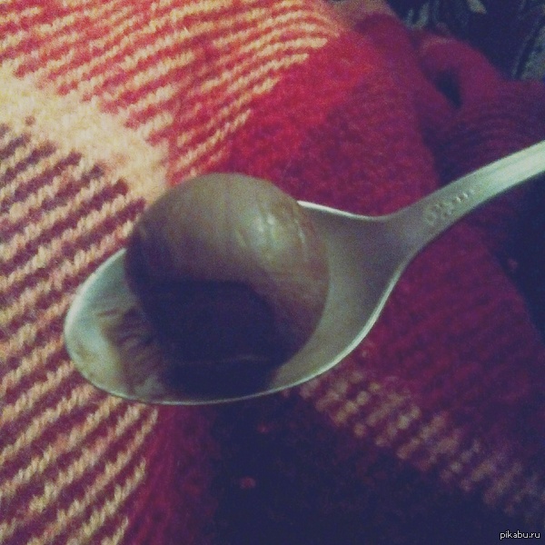 �������� �������