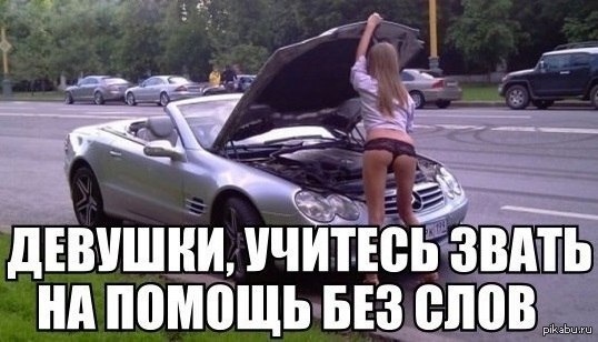 Бедняжка....