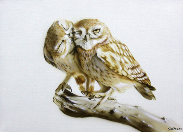 ������, ����������� � ����������! ��� ��������� ������ � ���� ����!