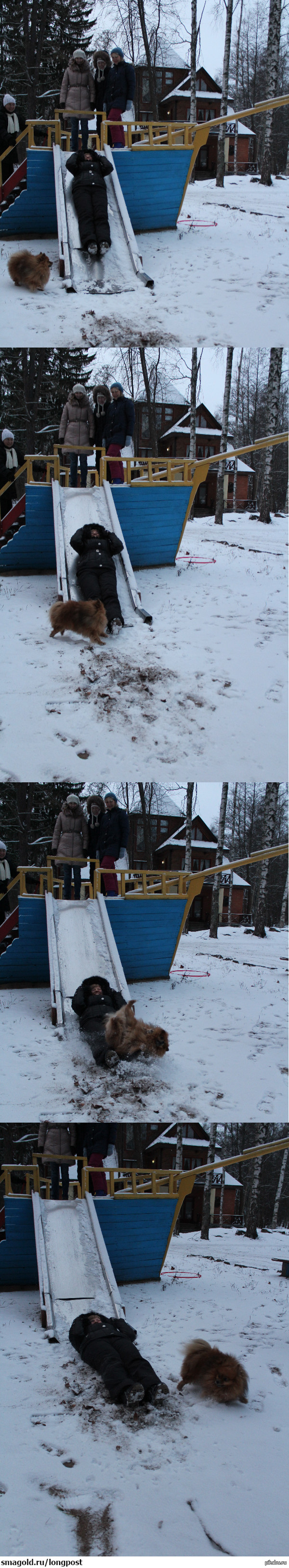 ������� ��������� ���������� ���������� �����)))