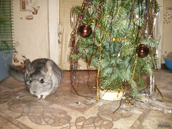 С наступающими праздниками!